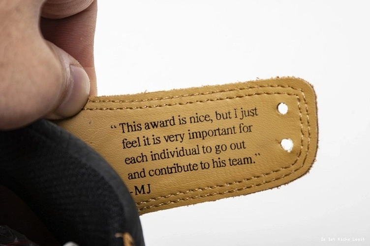 the 555088-700 Year of 1 Air Jordan Rookie 0929